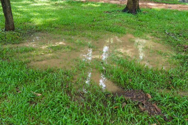 Storm Water Drainage Service in Lake Stevens