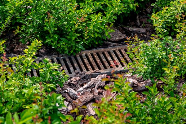 Underground Drainage Service in Lake Stevens