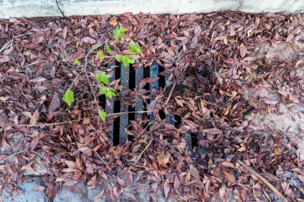 Yard Drain Unclogging in Lake Stevens