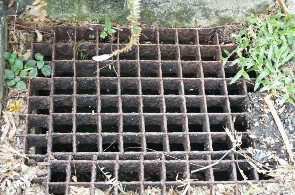 Yard Drain Cleaning in Lake Stevens