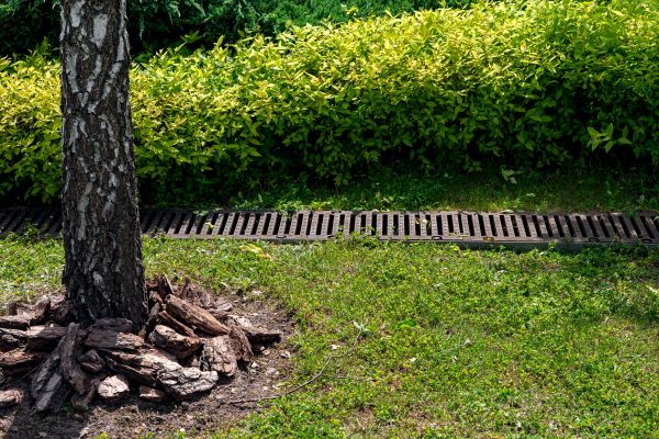 Garden Drainage Installation in Lake Stevens