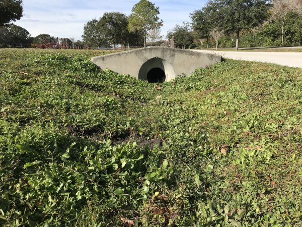 Cost of Swale Drainage Service in Lake Stevens
