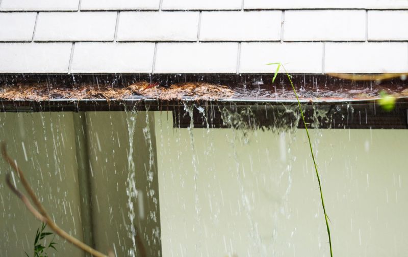 Gutter and Downspout Clearing